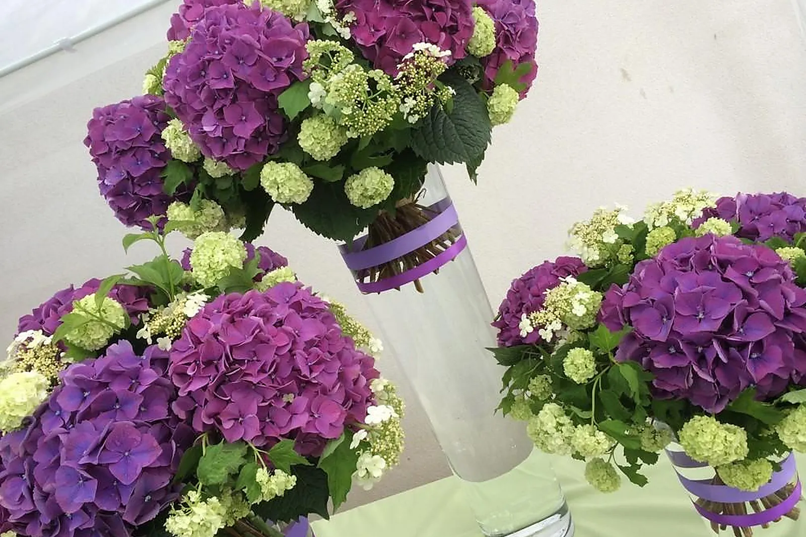 Prestataire Technique Audiovisuel, MARIE PAOLINI