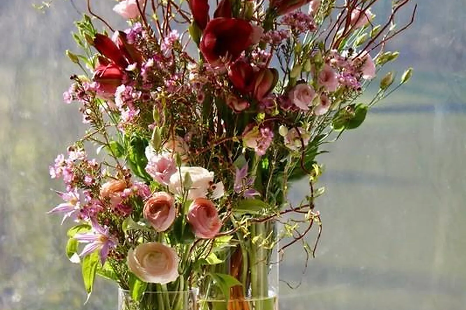 Prestataire Technique Audiovisuel, MARIE PAOLINI