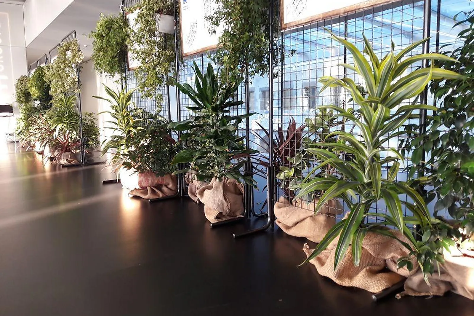 Prestataire Technique Audiovisuel, ALIX LAURENT