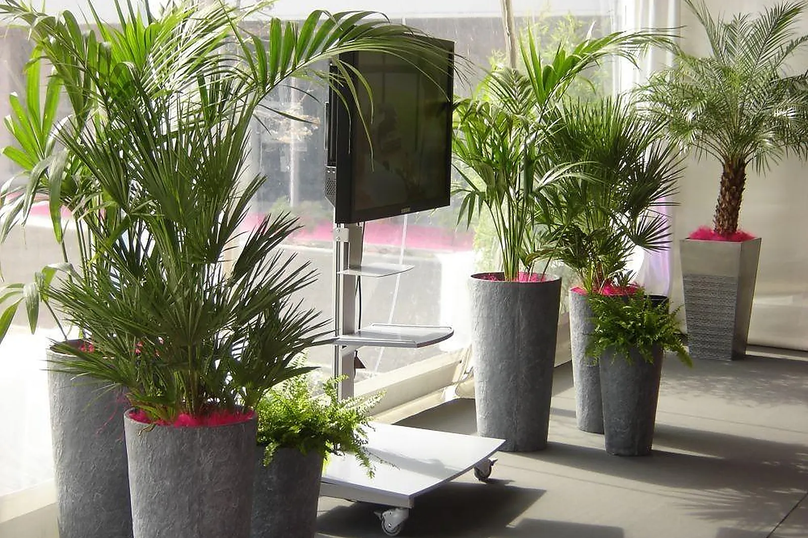 Prestataire Technique Audiovisuel, ALIX LAURENT