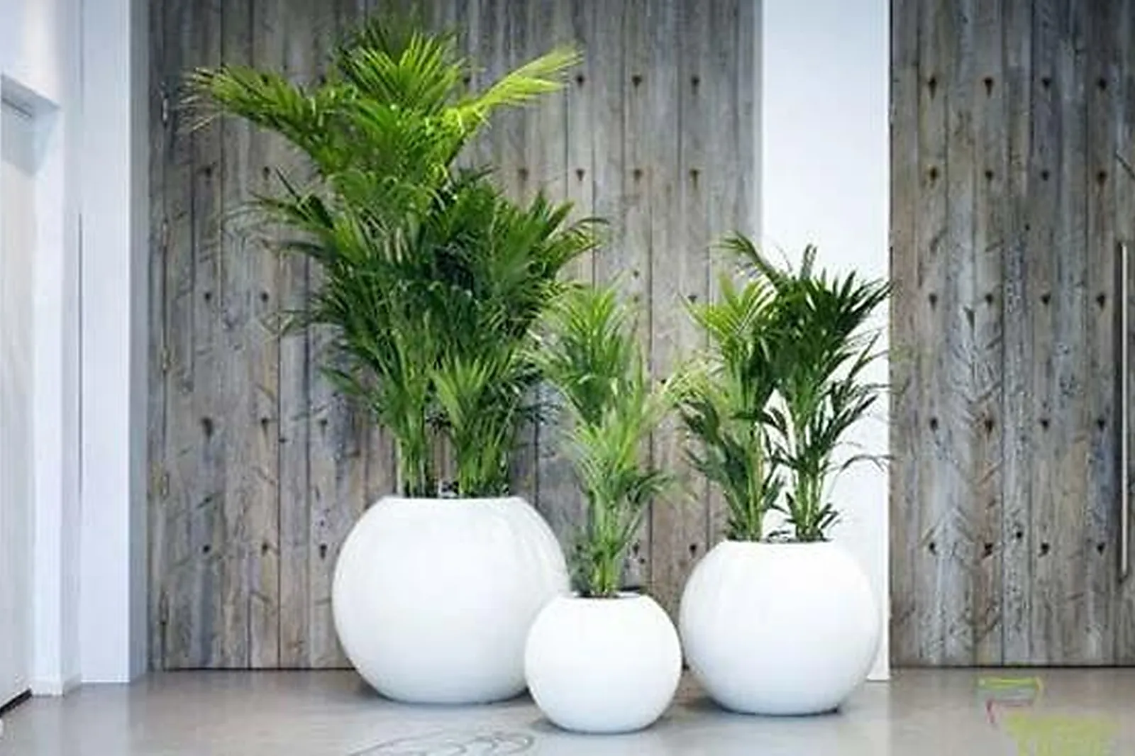 Prestataire Technique Audiovisuel, ALIX LAURENT