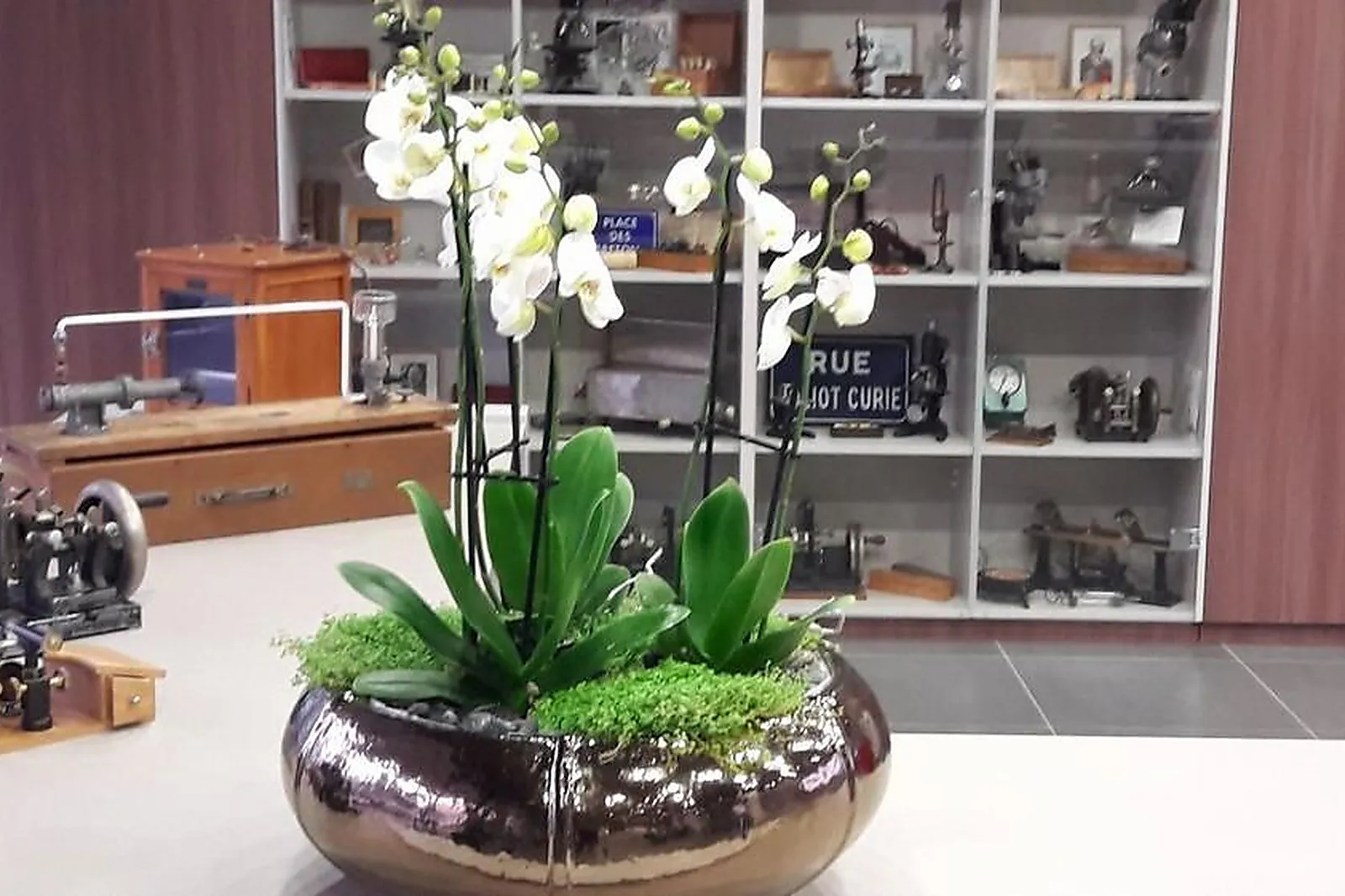 Prestataire Technique Audiovisuel, ALIX LAURENT