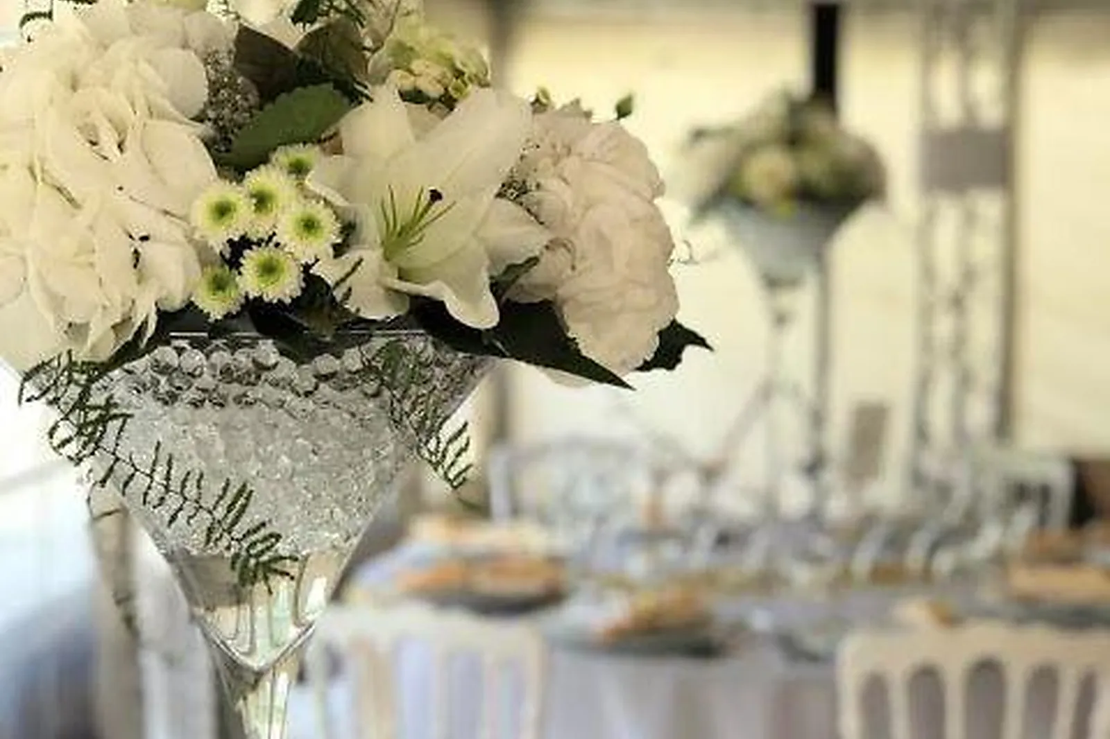 Prestataire Technique Audiovisuel, CHAMP D'AROMES