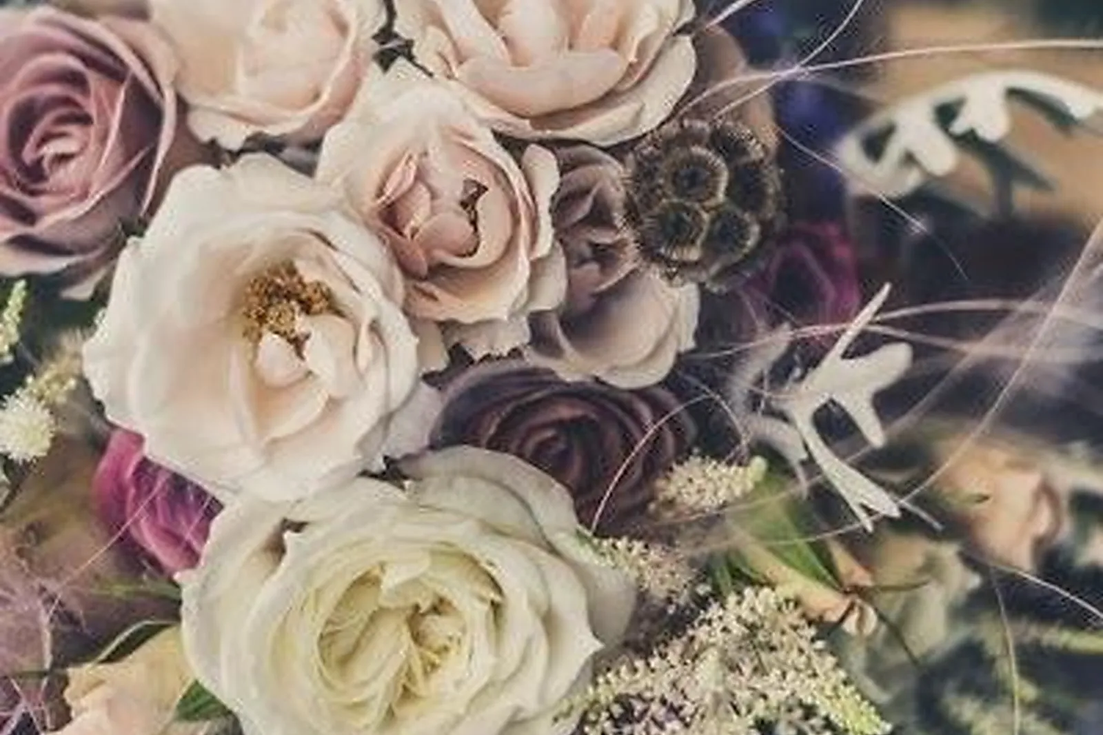 Prestataire Technique Audiovisuel, CHAMP D'AROMES