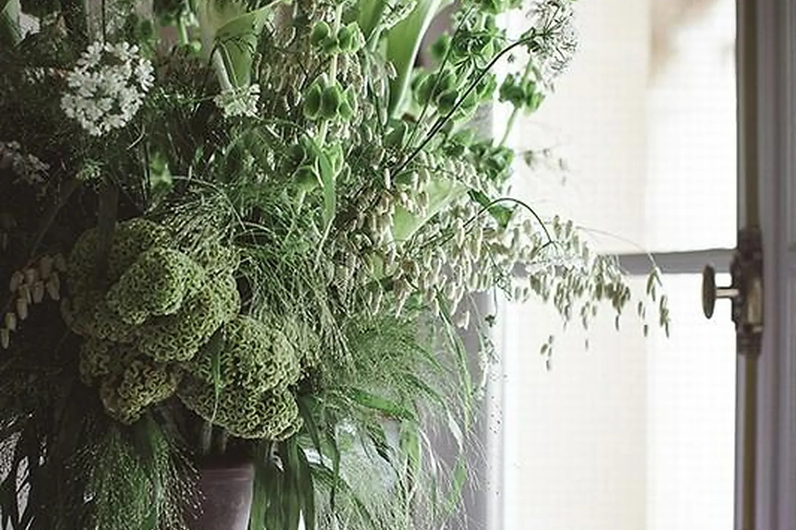 Prestataire Technique Audiovisuel, DRISSIA