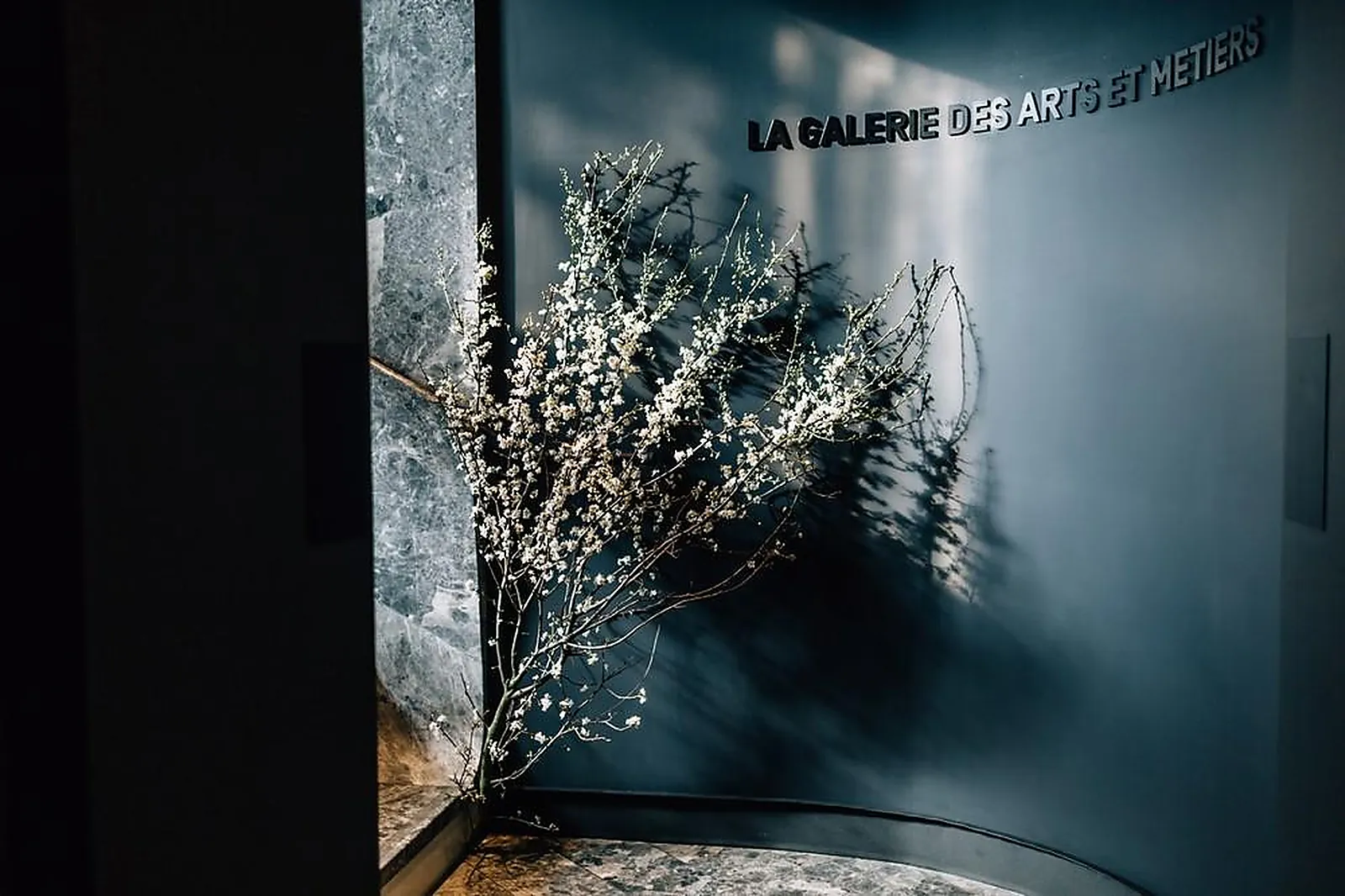 Prestataire Technique Audiovisuel, DRISSIA