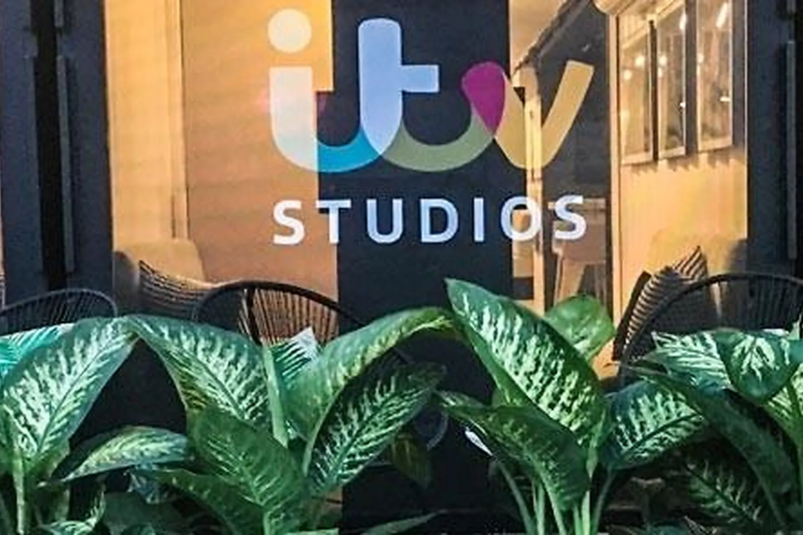 Prestataire Technique Audiovisuel, RIVIERA PLANTES