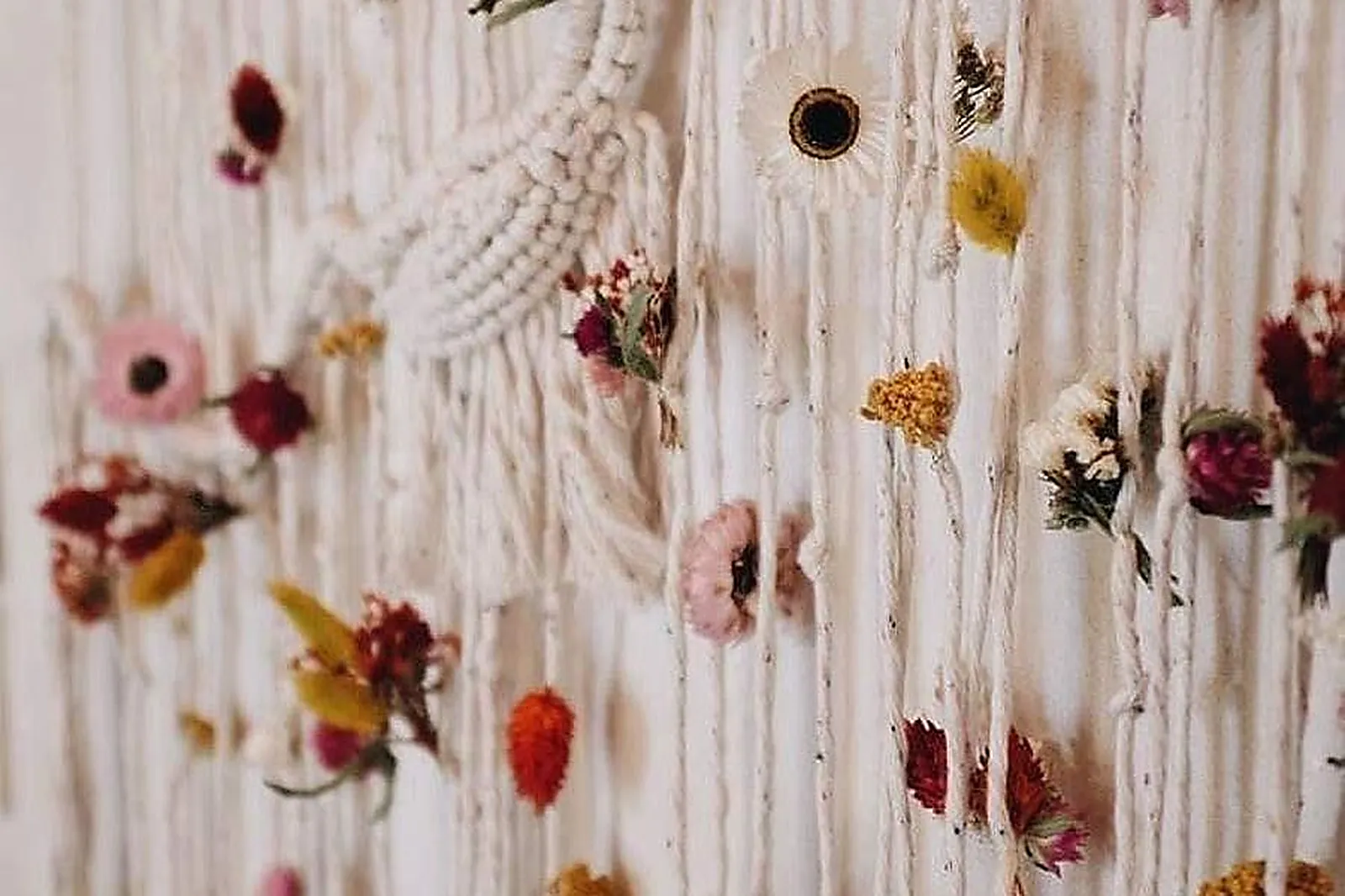 Prestataire Technique Audiovisuel, NUANCES FLORALES