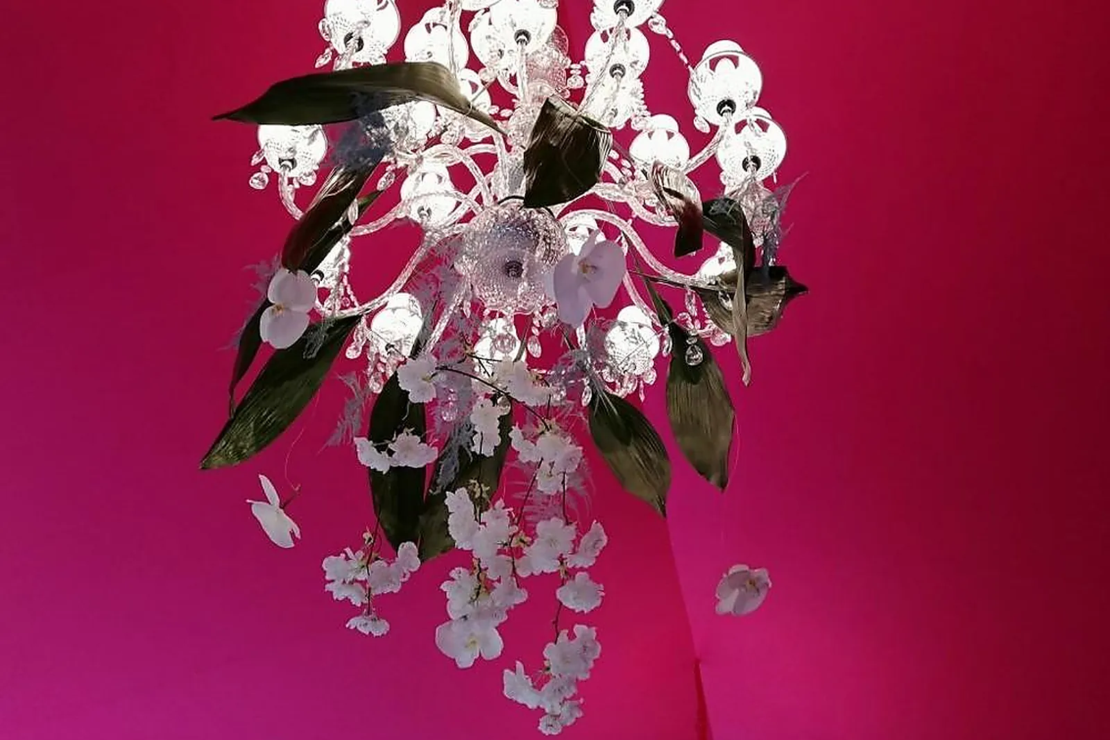 Prestataire Technique Audiovisuel, FLEURS DE TOSCANE