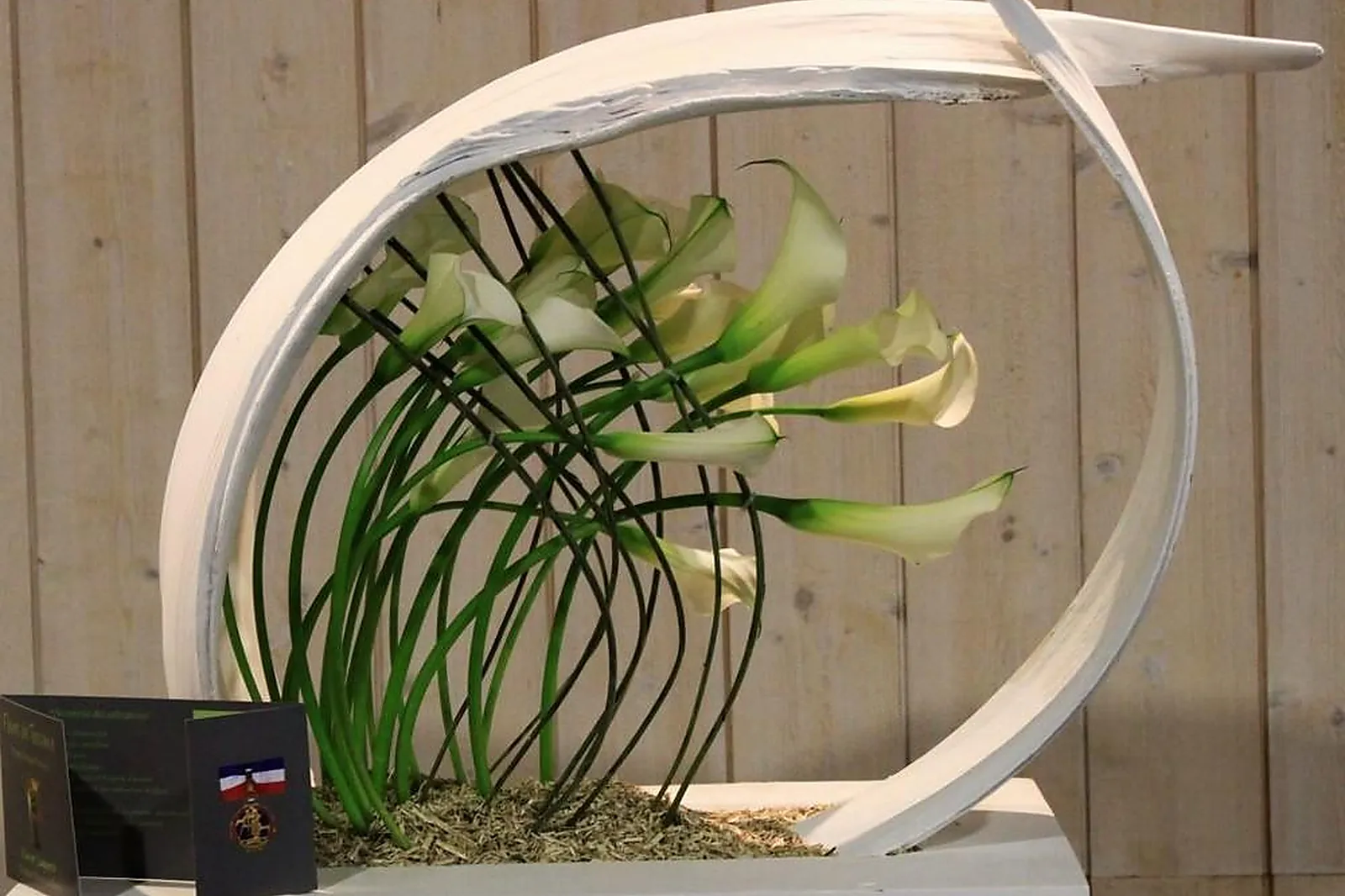 Prestataire Technique Audiovisuel, FLEURS DE TOSCANE