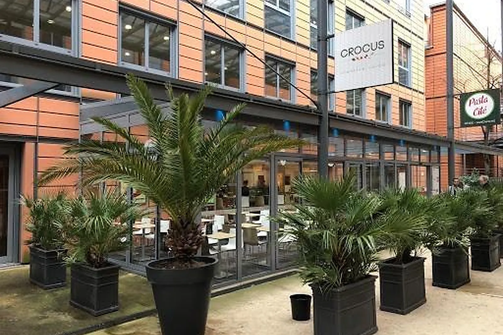 Prestataire Technique Audiovisuel, AMBIANCE FLORALE