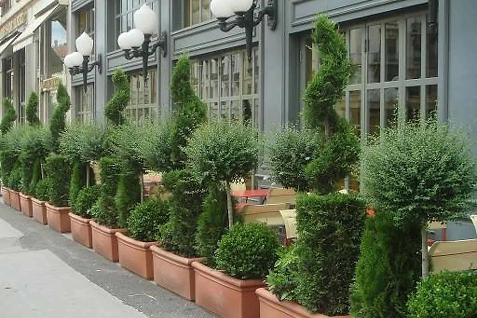 Prestataire Technique Audiovisuel, AMBIANCE FLORALE