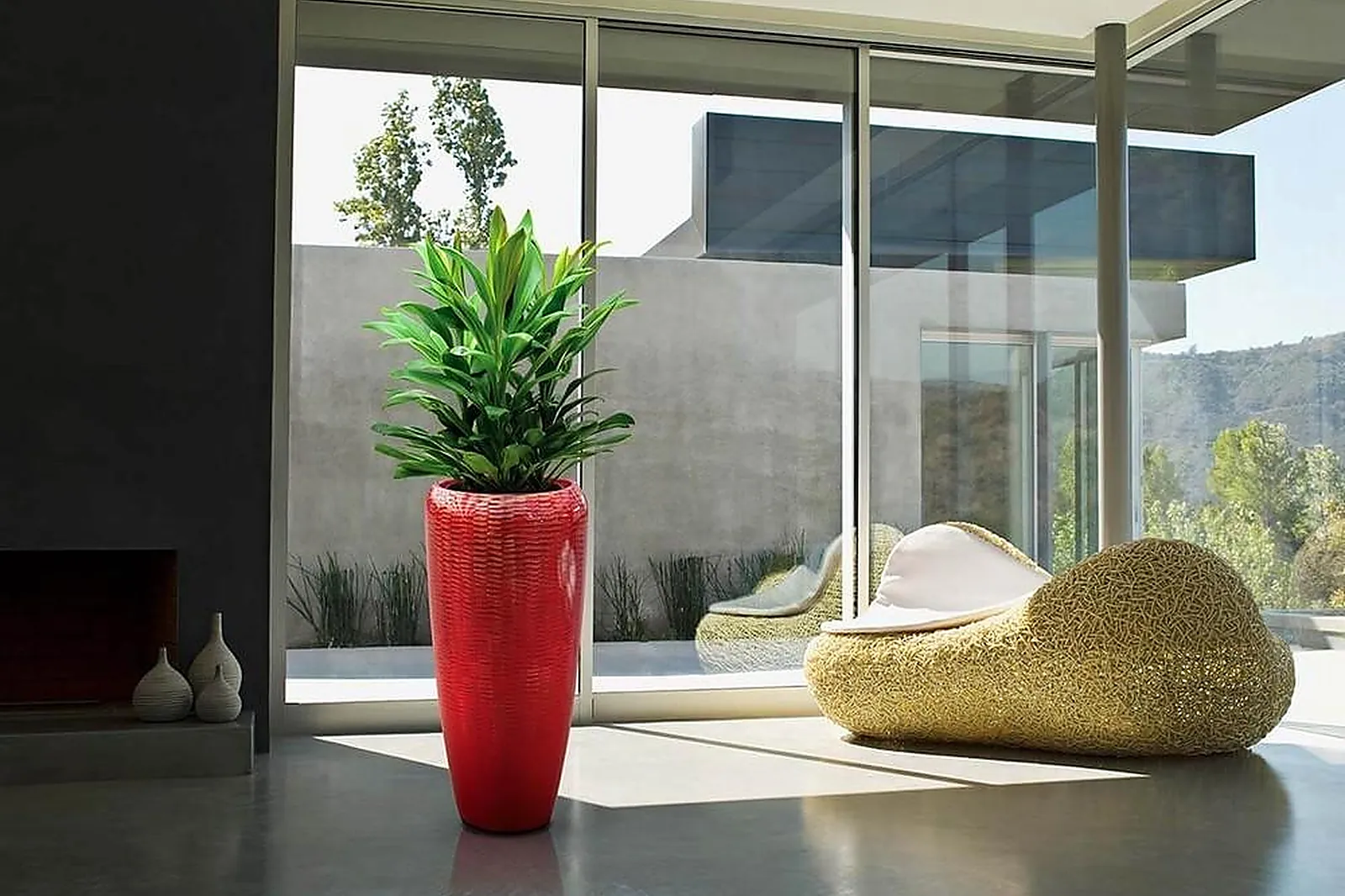 Prestataire Technique Audiovisuel, DÉCO PLANTE