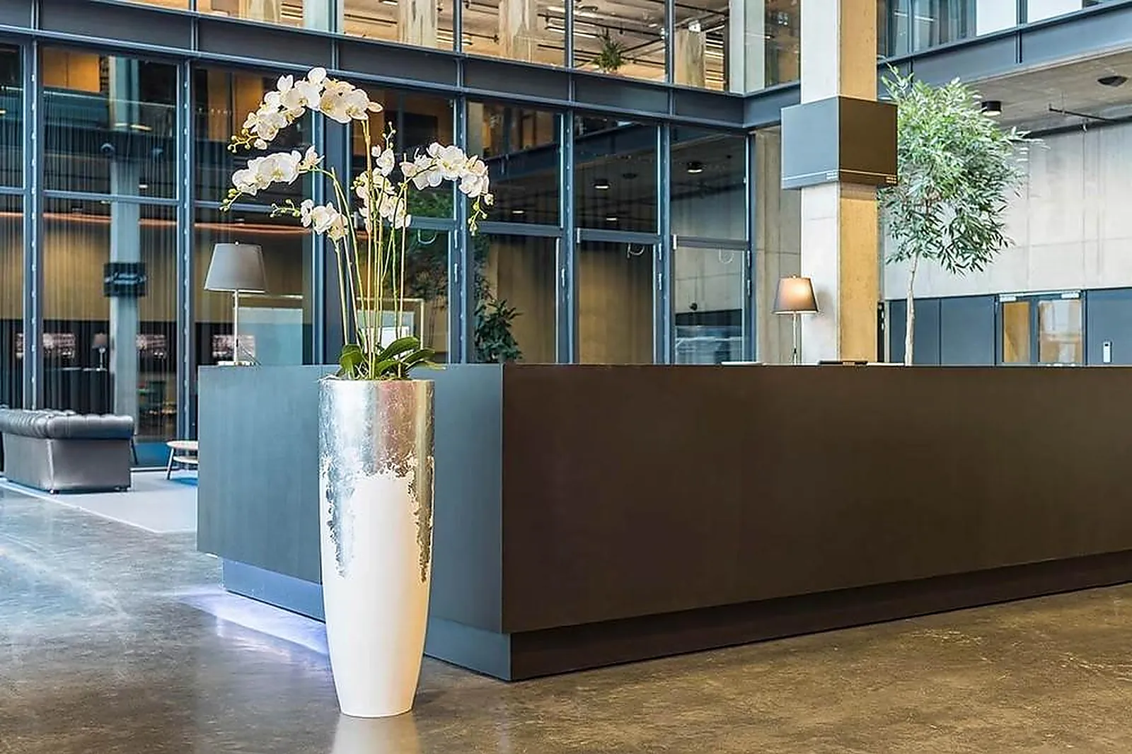 Prestataire Technique Audiovisuel, DÉCO PLANTE