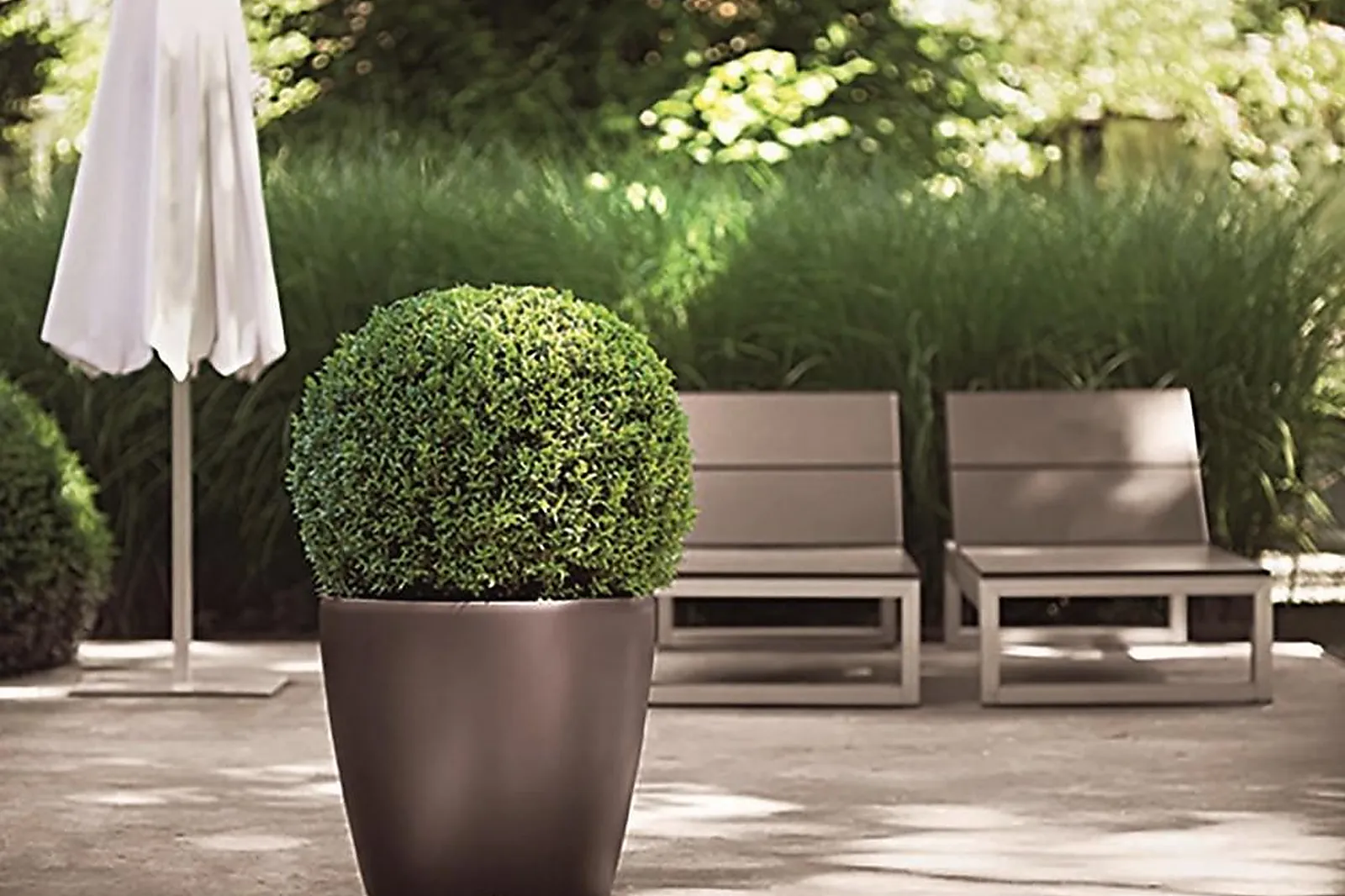 Prestataire Technique Audiovisuel, DÉCO PLANTE