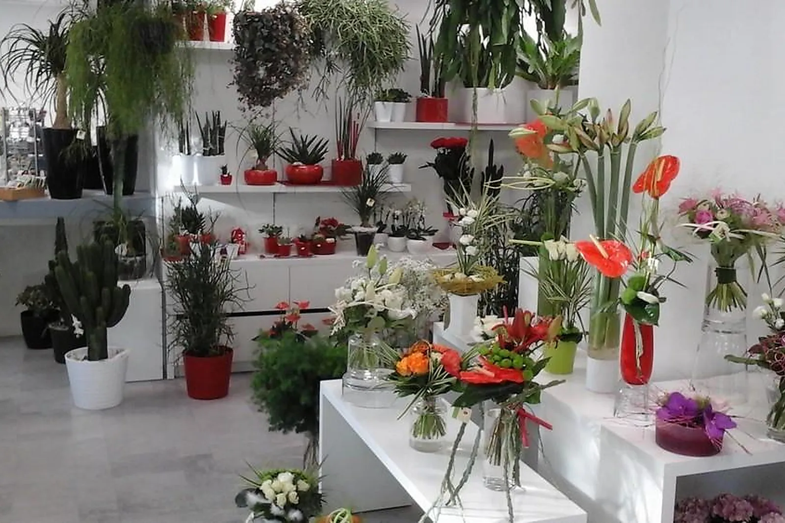 Prestataire Technique Audiovisuel, AUX JARDINS SAINT DÉSIRÉ