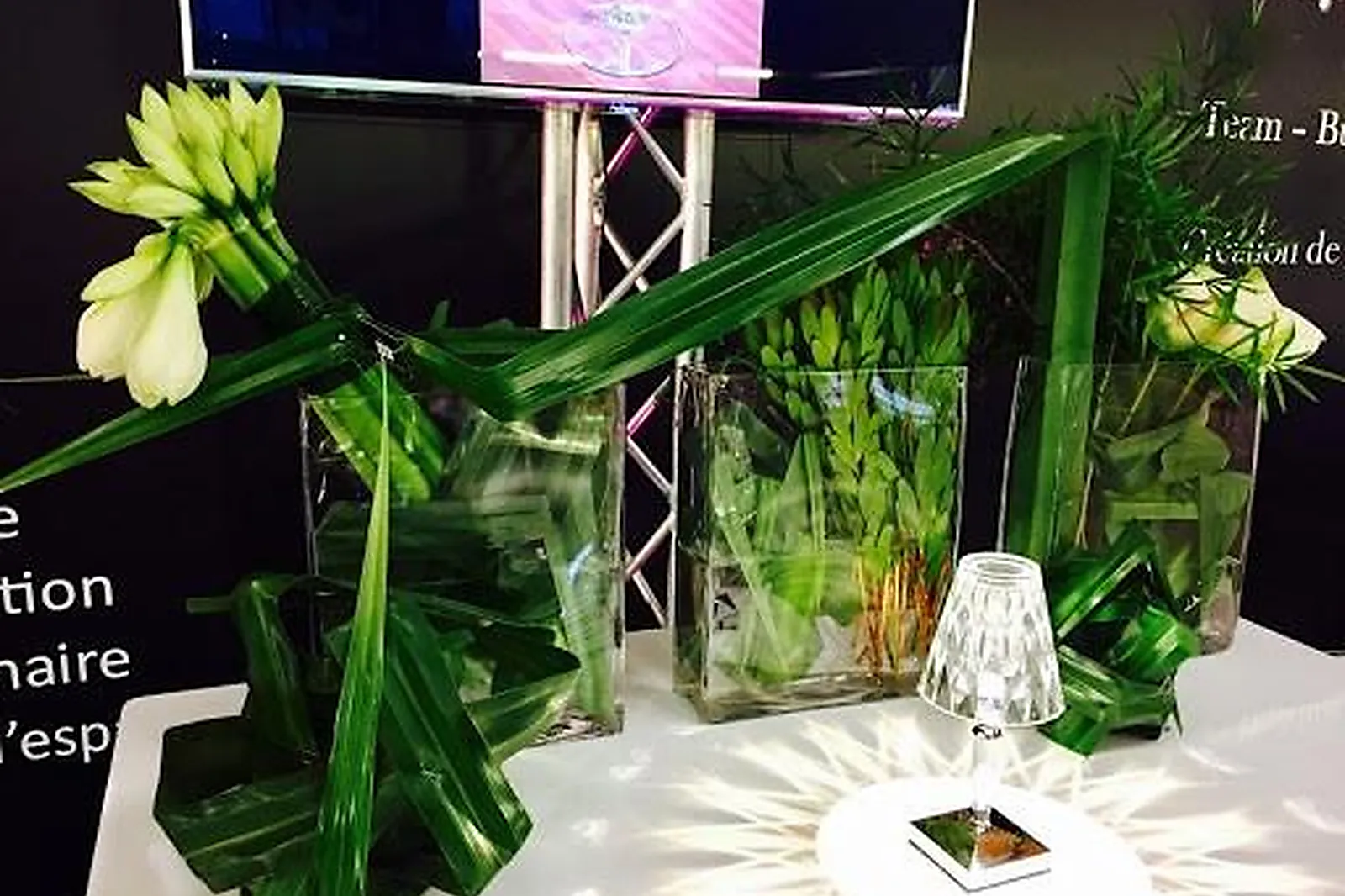 Prestataire Technique Audiovisuel, FRANCK HERNANDEZ