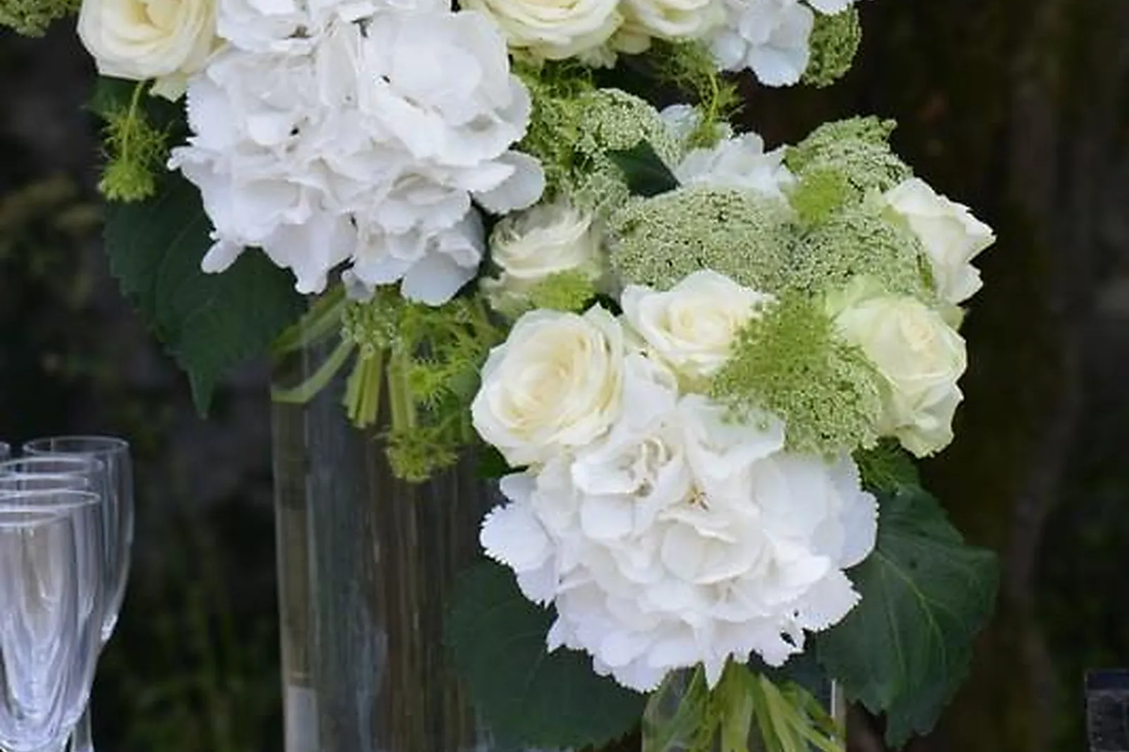 Prestataire Technique Audiovisuel, FRANCK HERNANDEZ