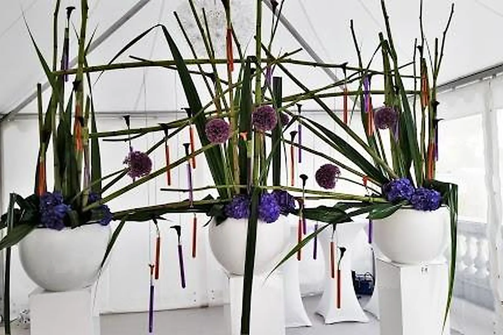 Prestataire Technique Audiovisuel, FRANCK HERNANDEZ