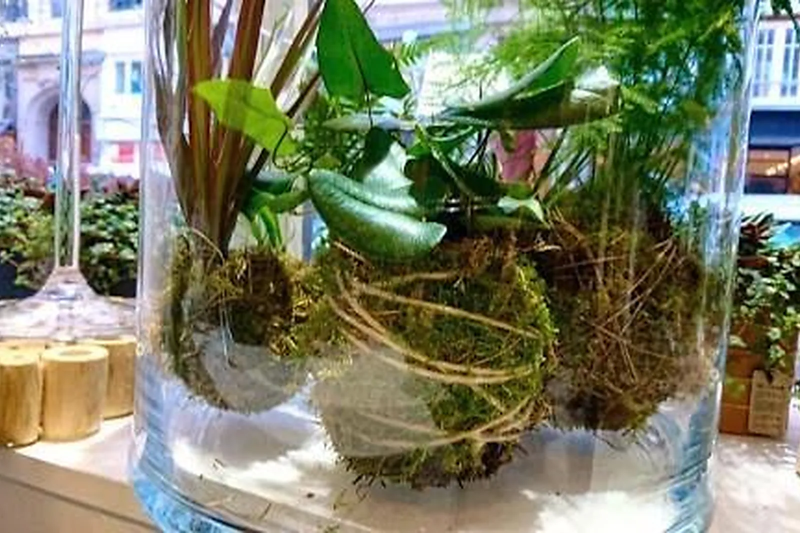 Prestataire Technique Audiovisuel, TROIS COULEURS VERT