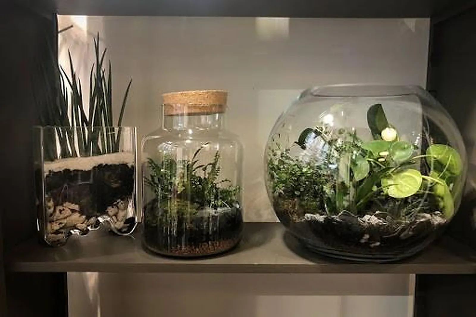 Prestataire Technique Audiovisuel, TROIS COULEURS VERT