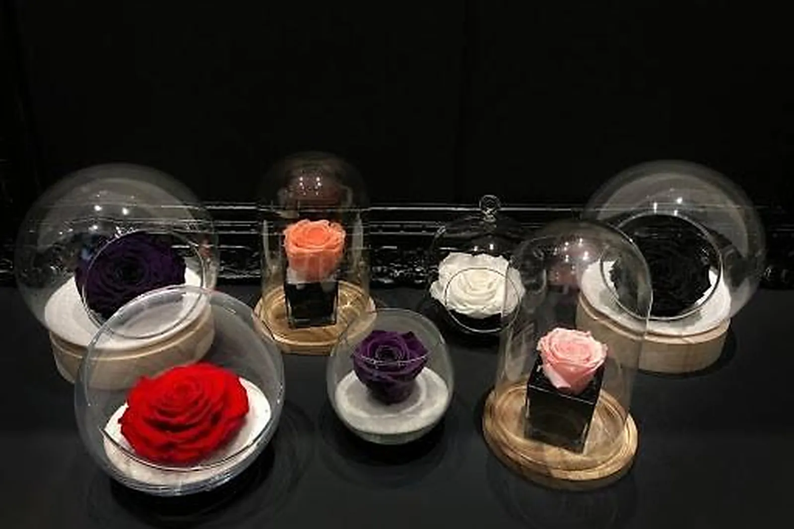 Prestataire Technique Audiovisuel, TROIS COULEURS VERT