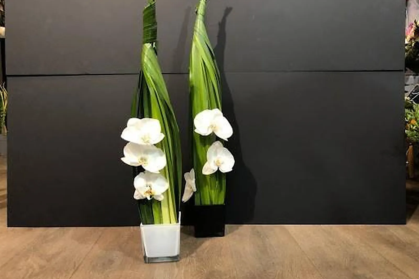 Prestataire Technique Audiovisuel, TROIS COULEURS VERT