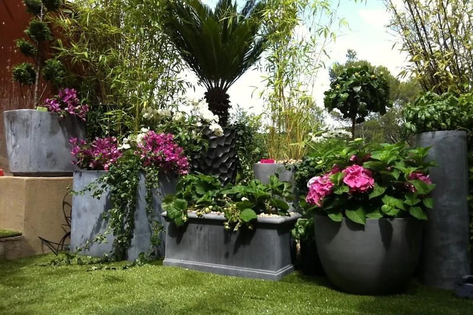 Prestataire Technique Audiovisuel, DELIBES FLEURS