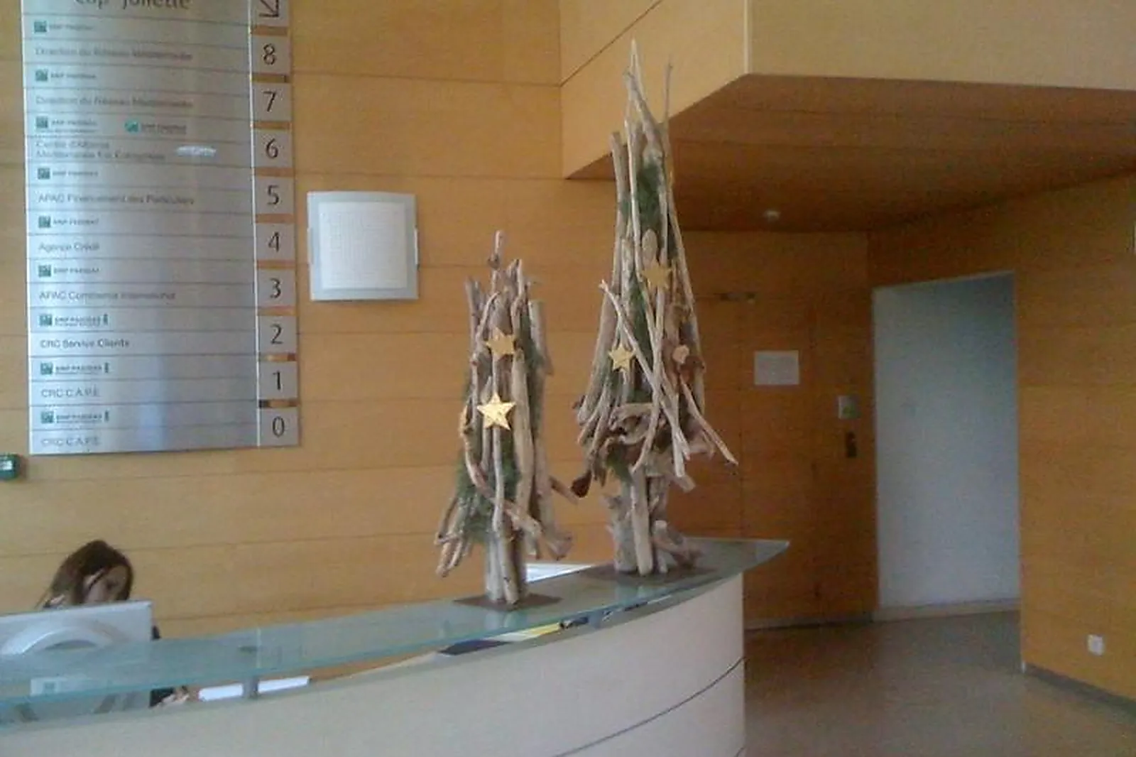 Prestataire Technique Audiovisuel, DELIBES FLEURS