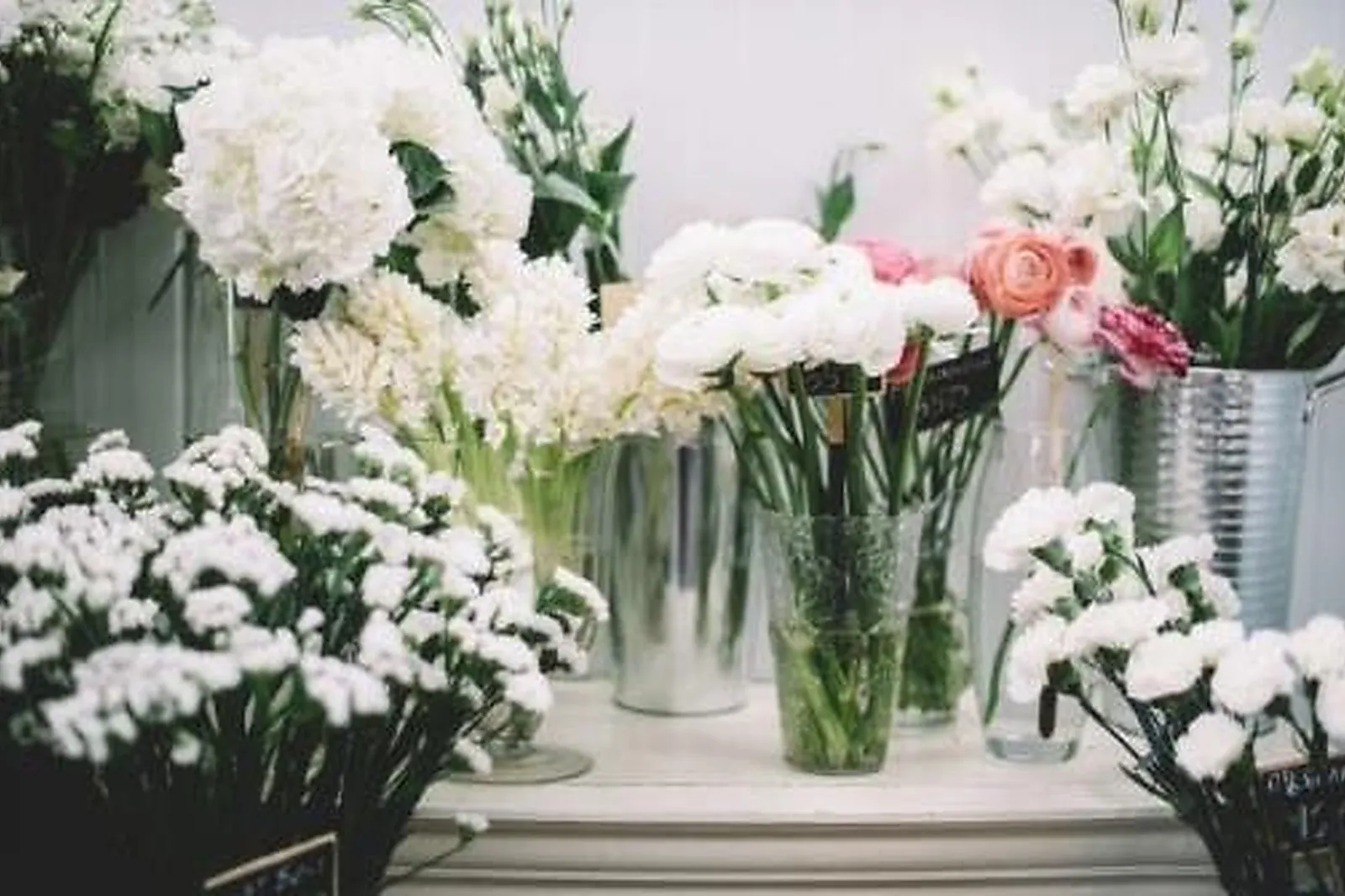 Prestataire Technique Audiovisuel, LES JARDINS D'ANAÏS