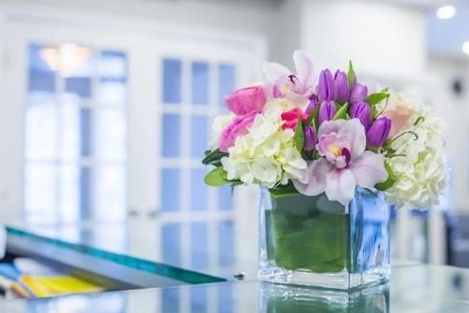 Prestataire Technique Audiovisuel, LES JARDINS D'ANAÏS