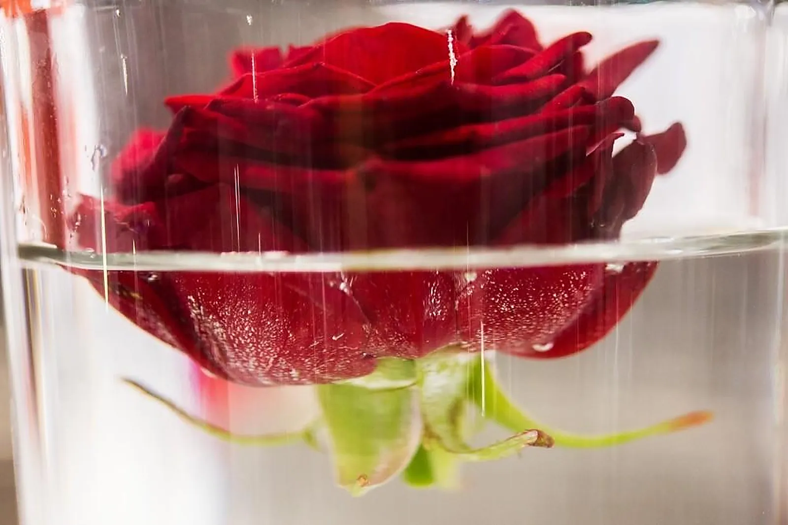 Prestataire Technique Audiovisuel, ONE DAY EVENT