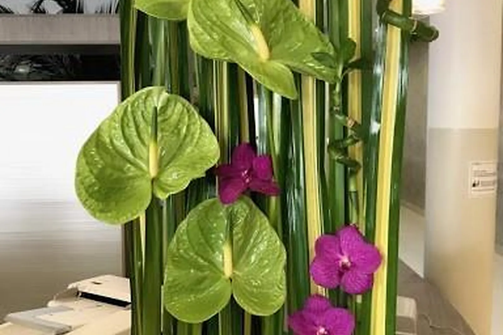 Prestataire Technique Audiovisuel, FLEURS ET STYLE