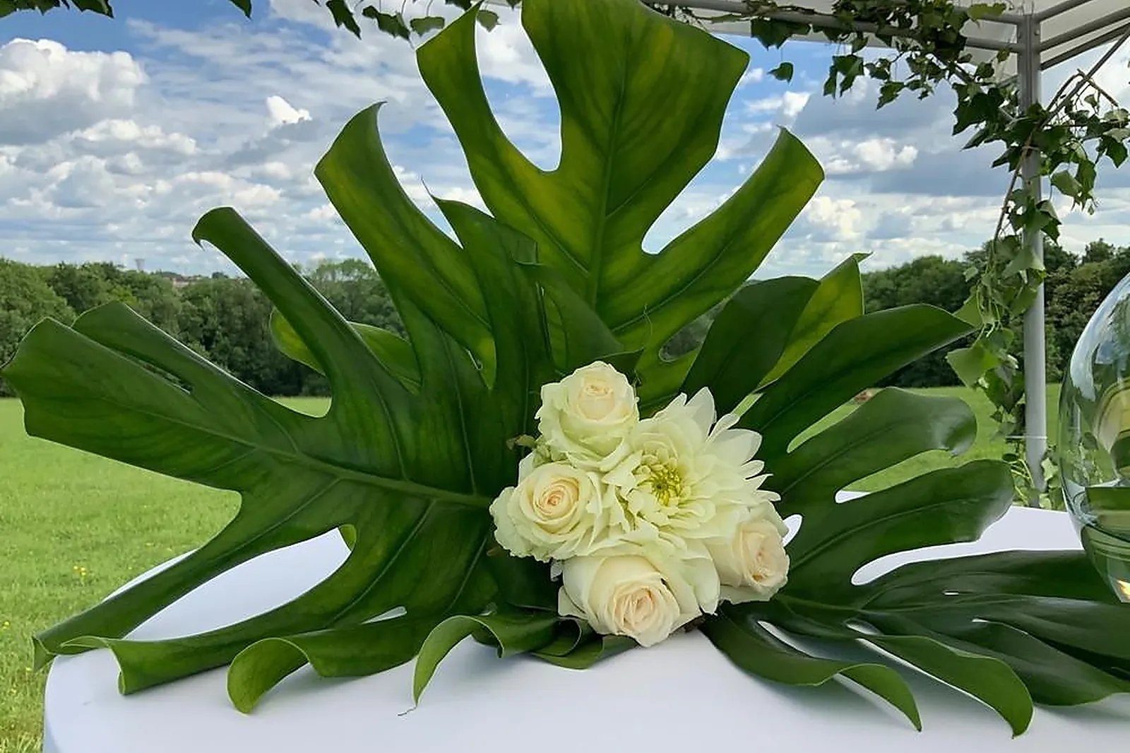 Prestataire Technique Audiovisuel, CATALEYA DÉCORATION