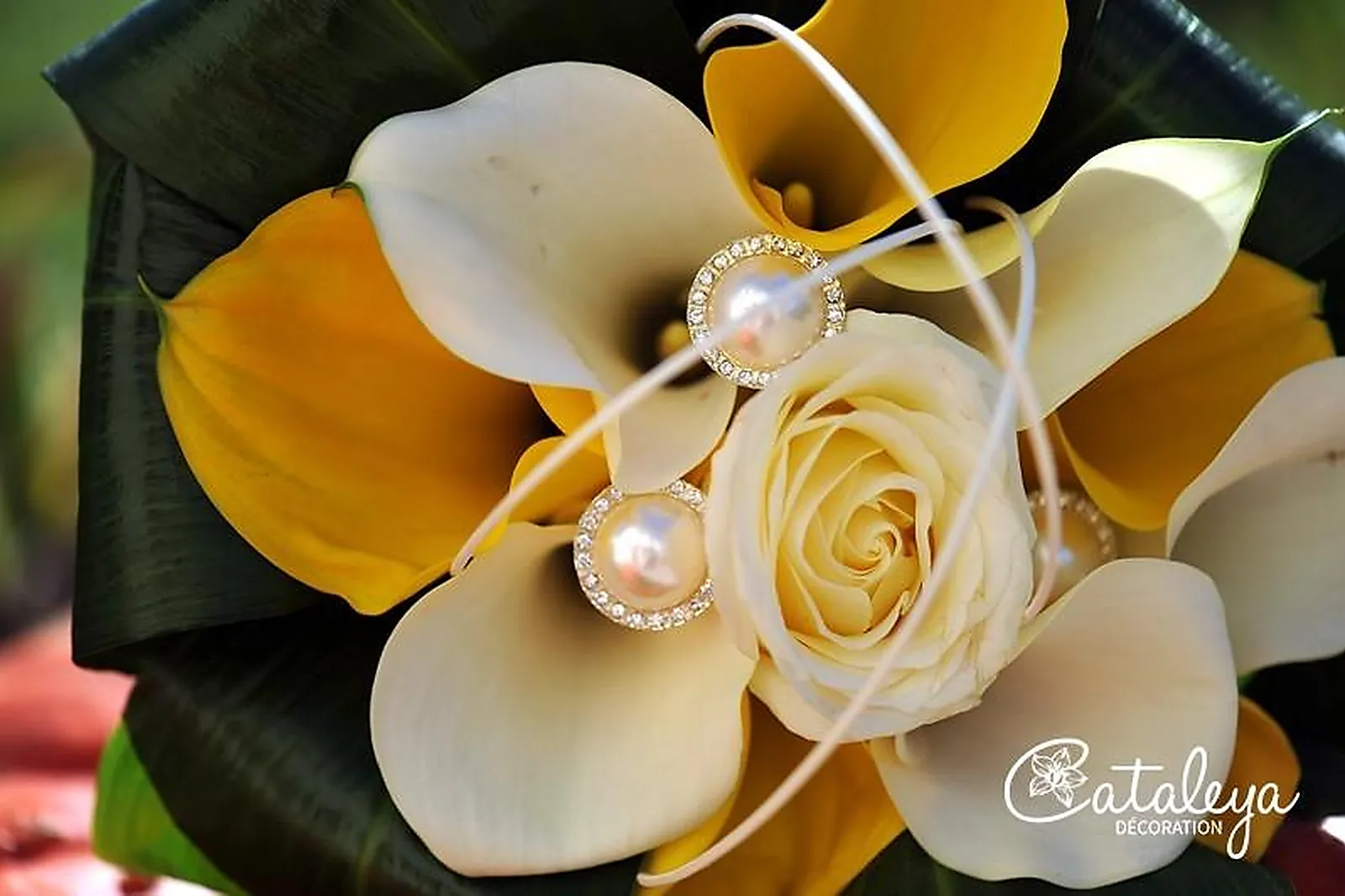 Prestataire Technique Audiovisuel, CATALEYA DÉCORATION