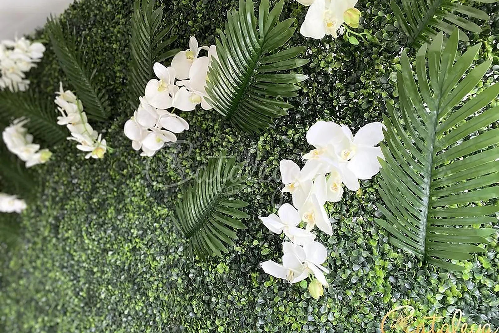 Prestataire Technique Audiovisuel, CATALEYA DÉCORATION