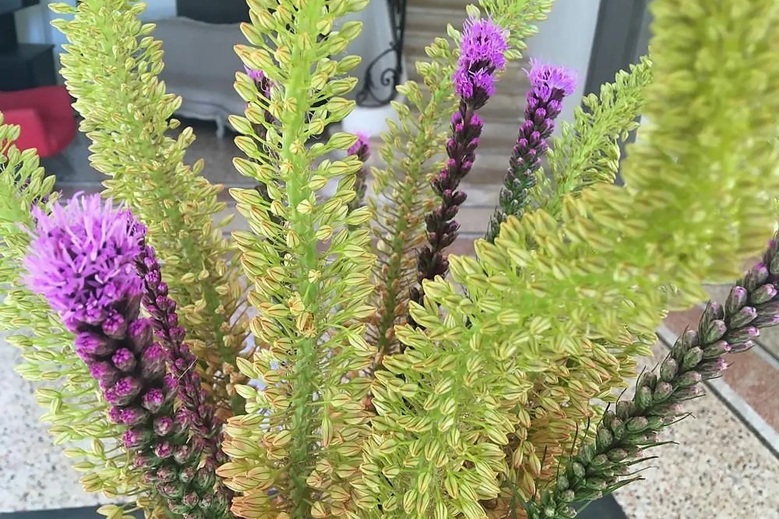 Prestataire Technique Audiovisuel, FLEURS DESIGN BY FAUSTINE