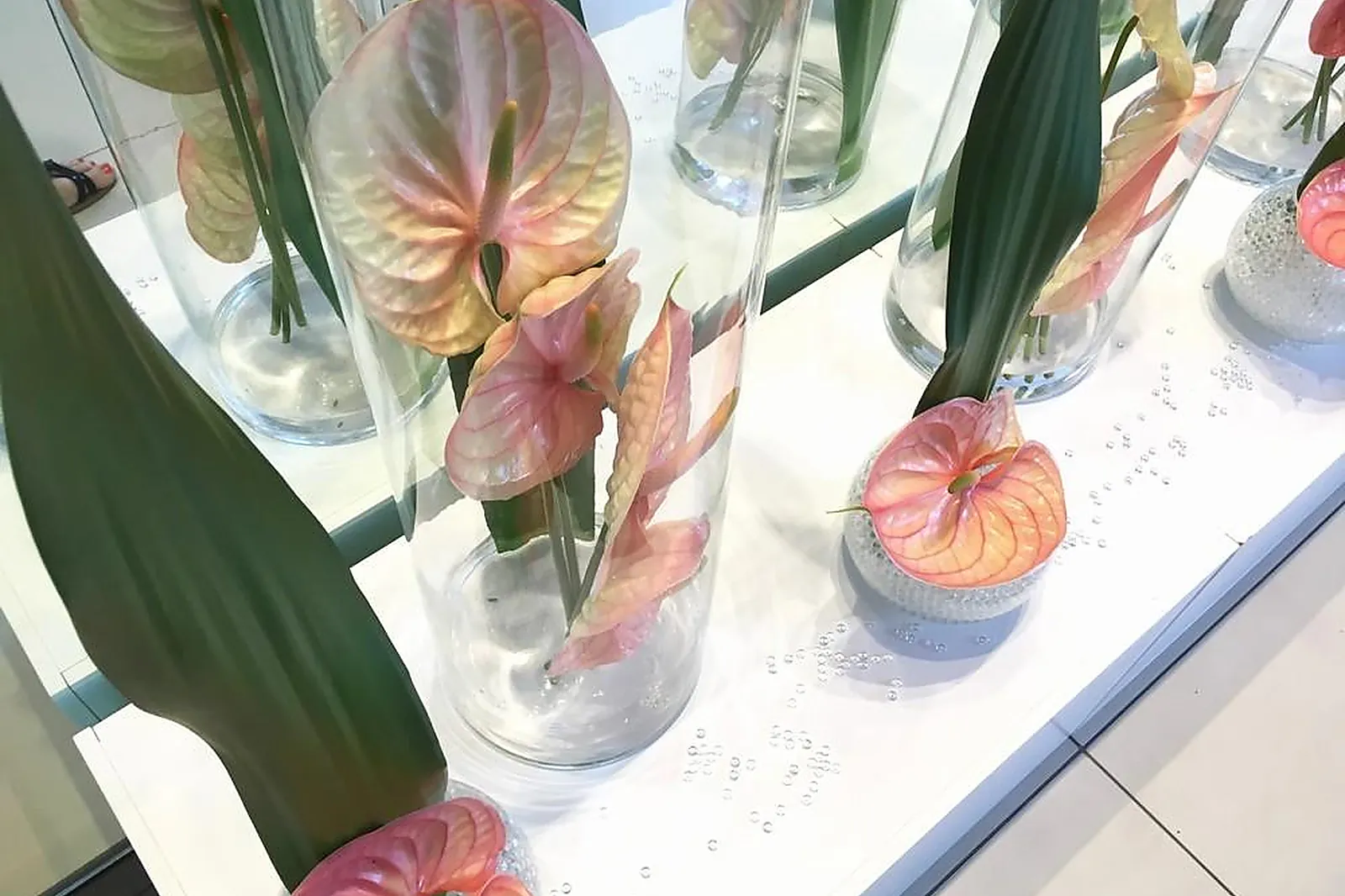 Prestataire Technique Audiovisuel, FLEURS DESIGN BY FAUSTINE