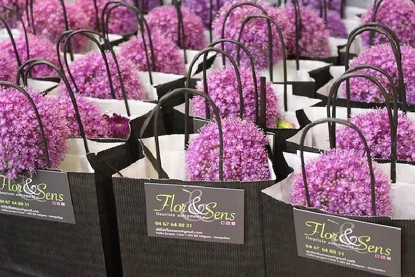 Prestataire Technique Audiovisuel, FLOR ET SENS