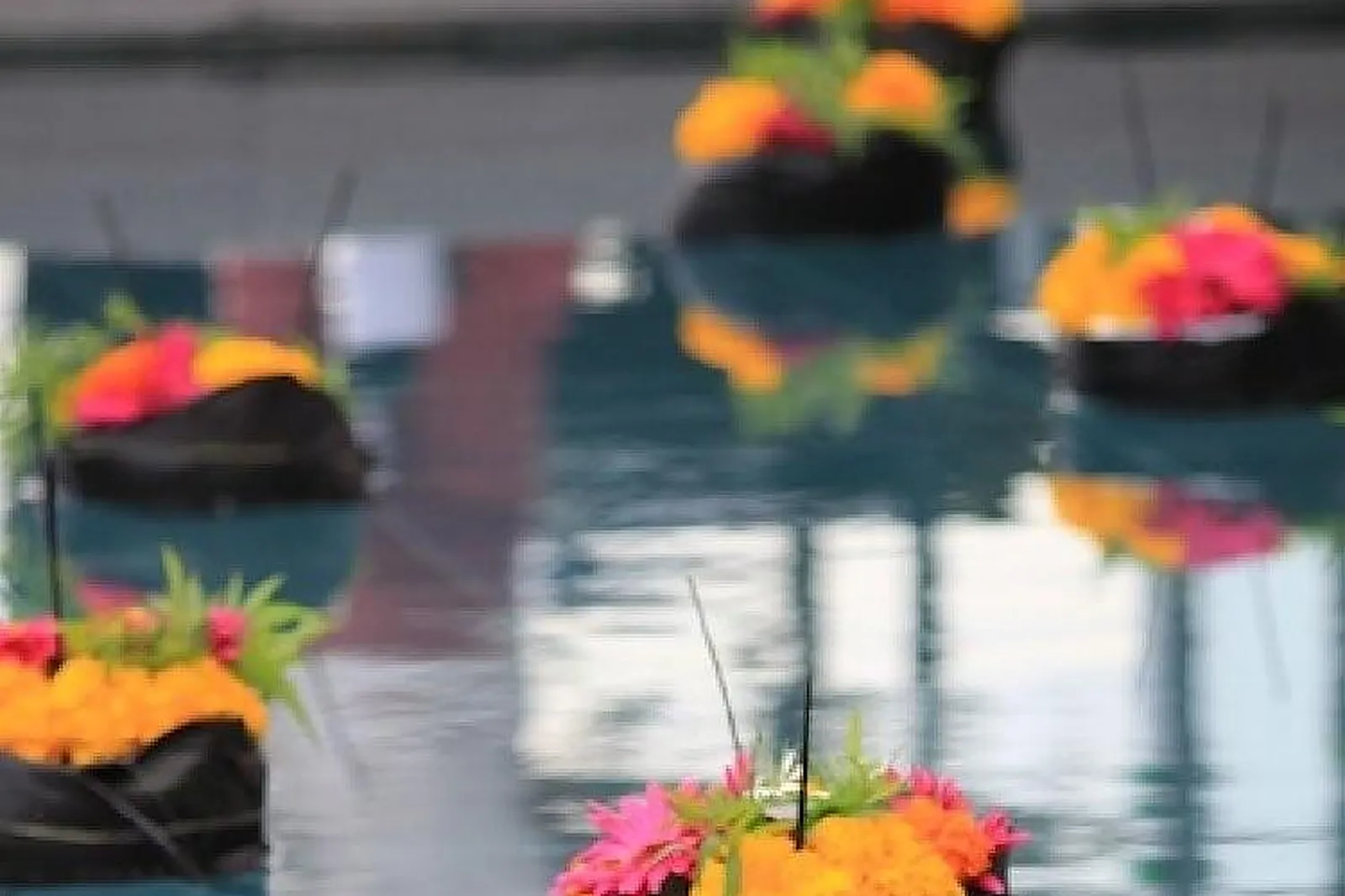 Prestataire Technique Audiovisuel, FLOR ET SENS