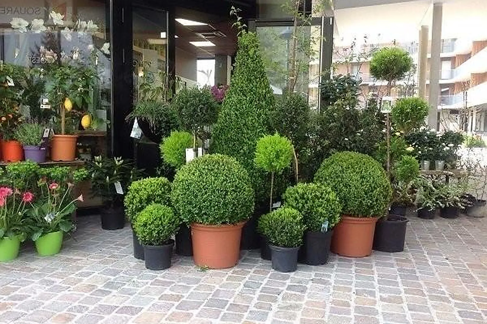 Prestataire Technique Audiovisuel, CÔTÉ FLEURS