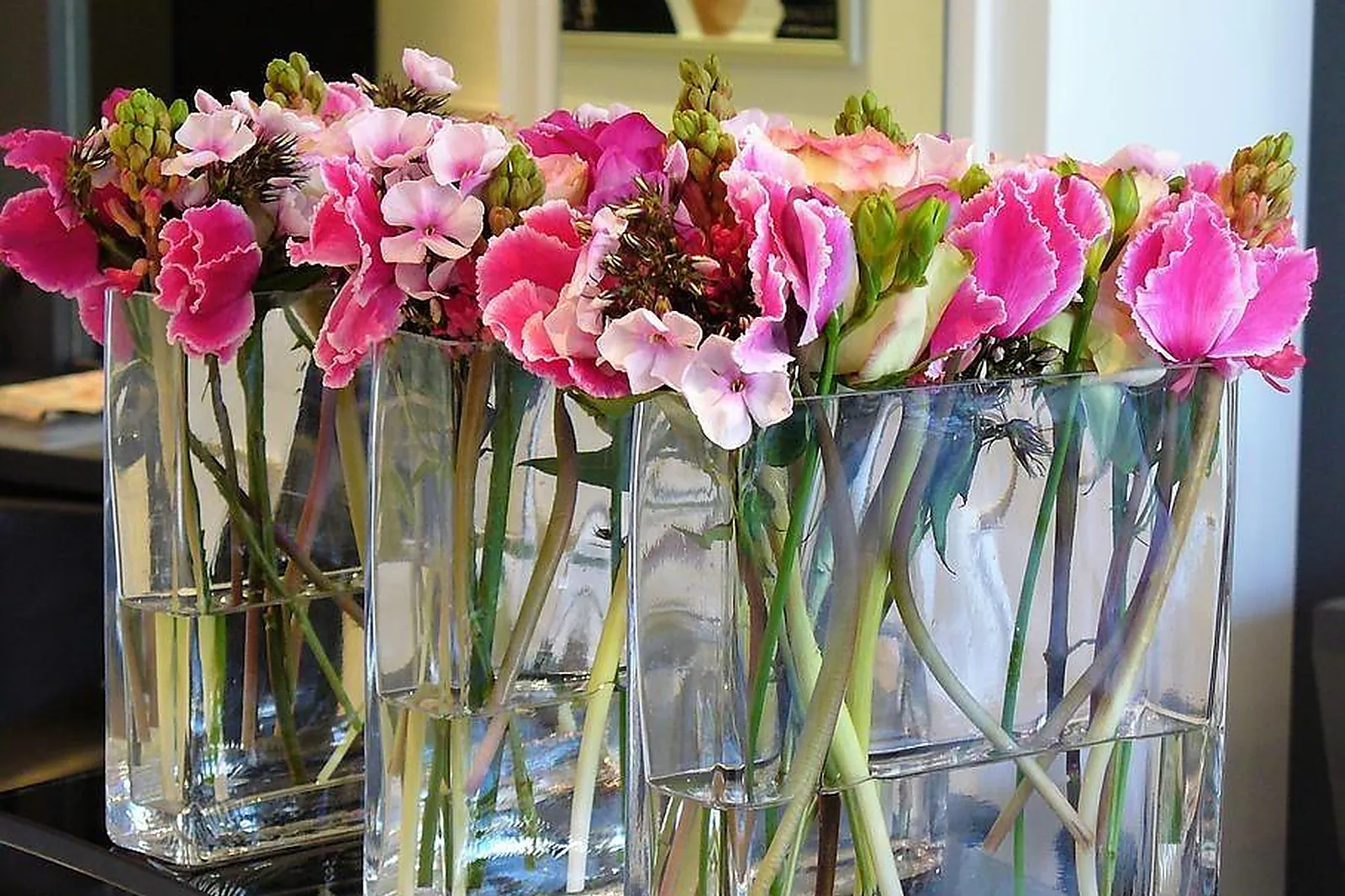 Prestataire Technique Audiovisuel, L'HERBE ET LA ROSE