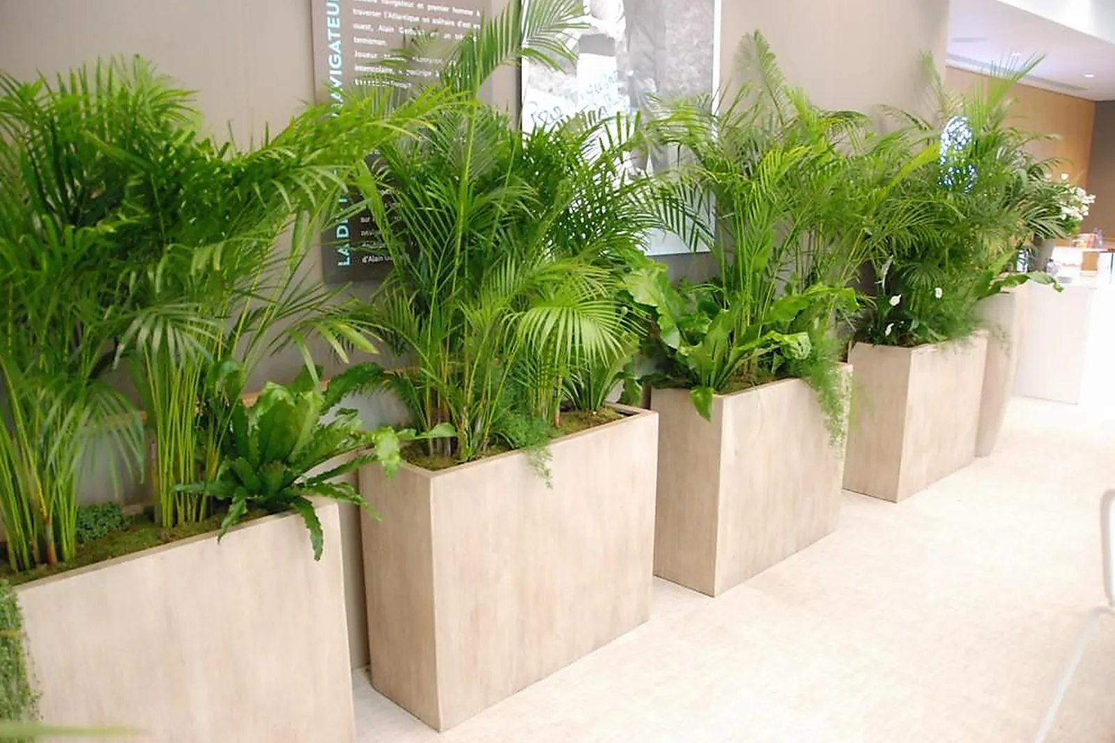 Prestataire Technique Audiovisuel, ATOUT VERT