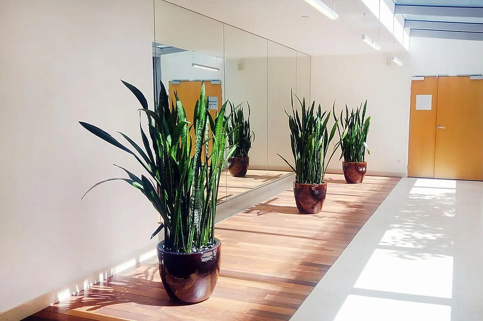 Prestataire Technique Audiovisuel, GREEN INSIDE