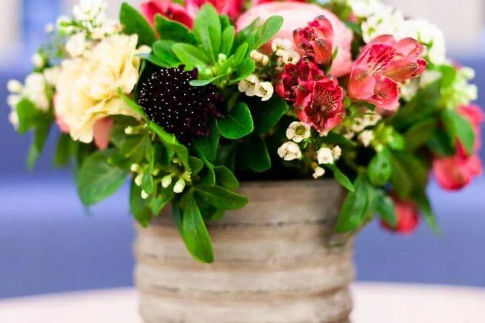 Prestataire Technique Audiovisuel, GREEN INSIDE