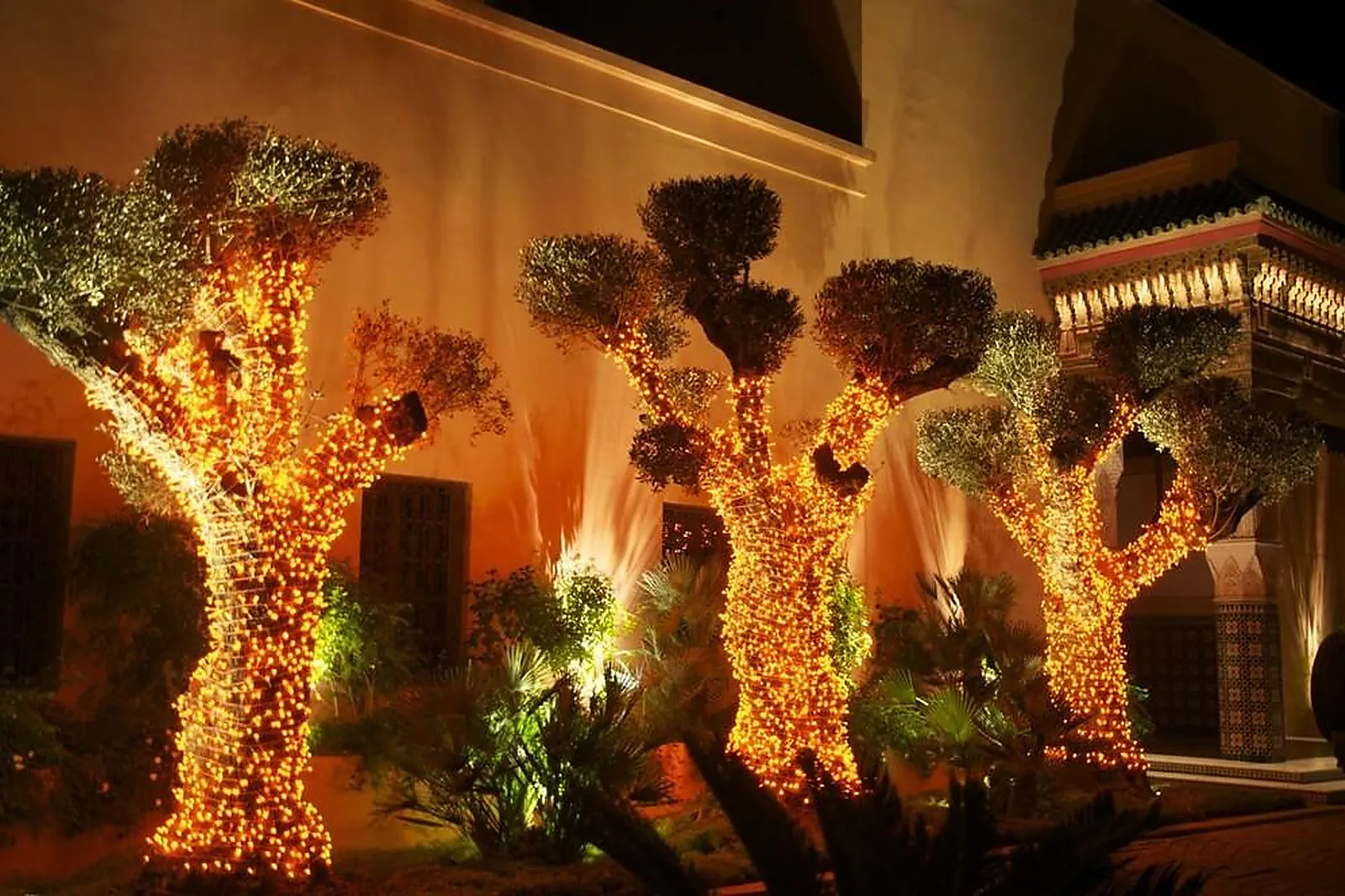 Prestataire Technique Audiovisuel, PASCAL MUTEL