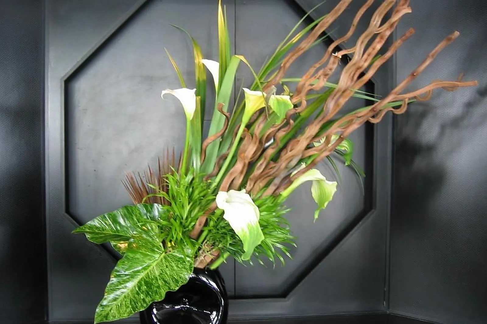 Prestataire Technique Audiovisuel, PASCAL MUTEL