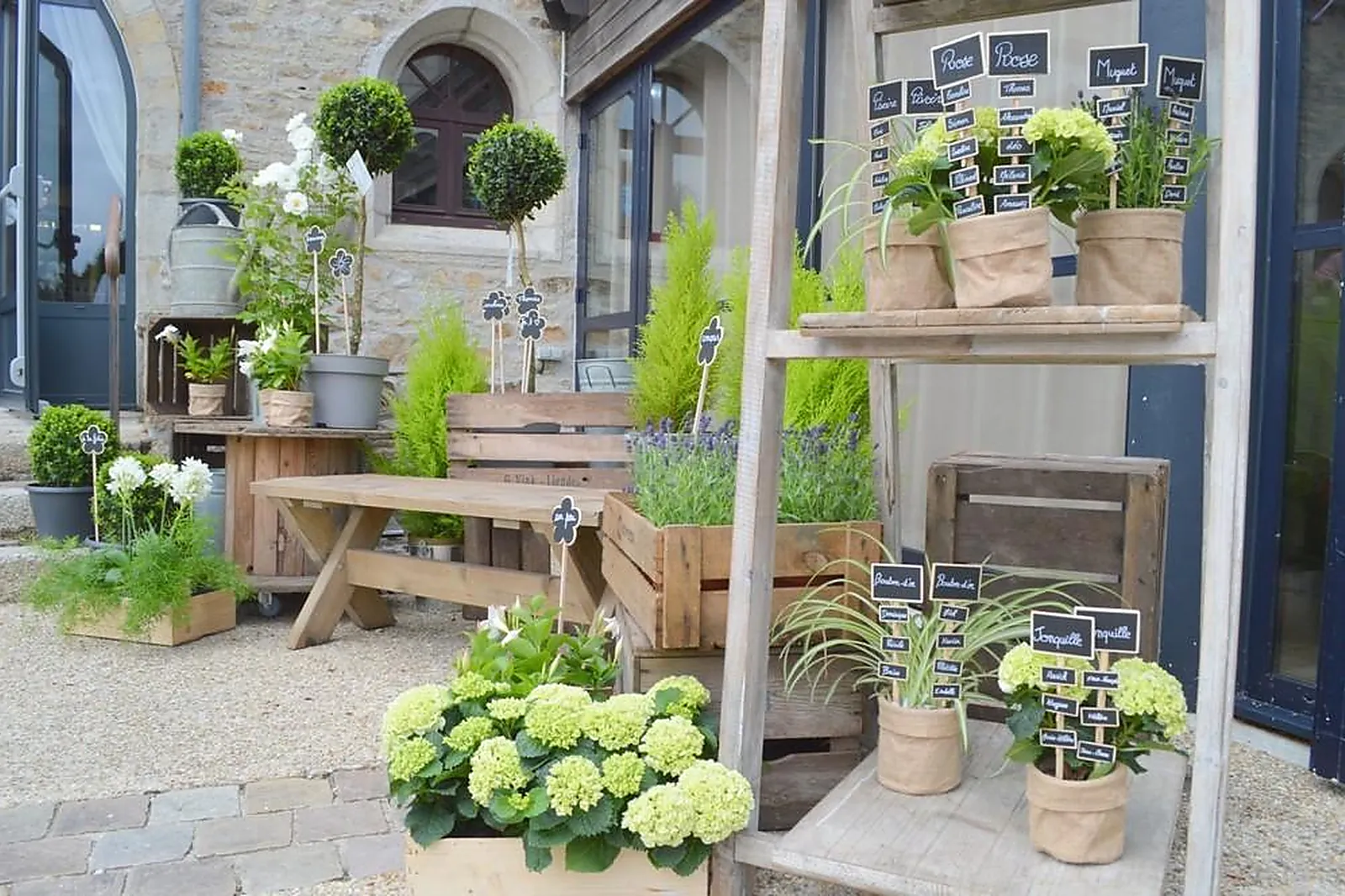 Prestataire Technique Audiovisuel, YVELINE DOUGUET