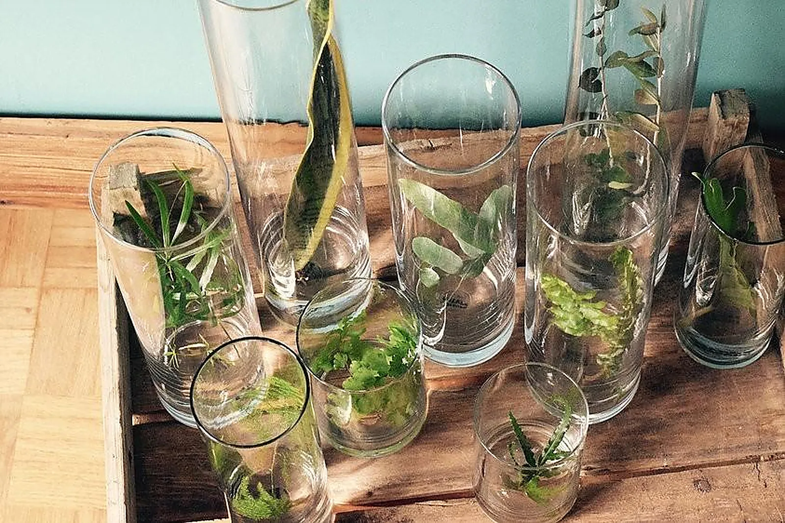 Prestataire Technique Audiovisuel, DÉTOURS NATURE