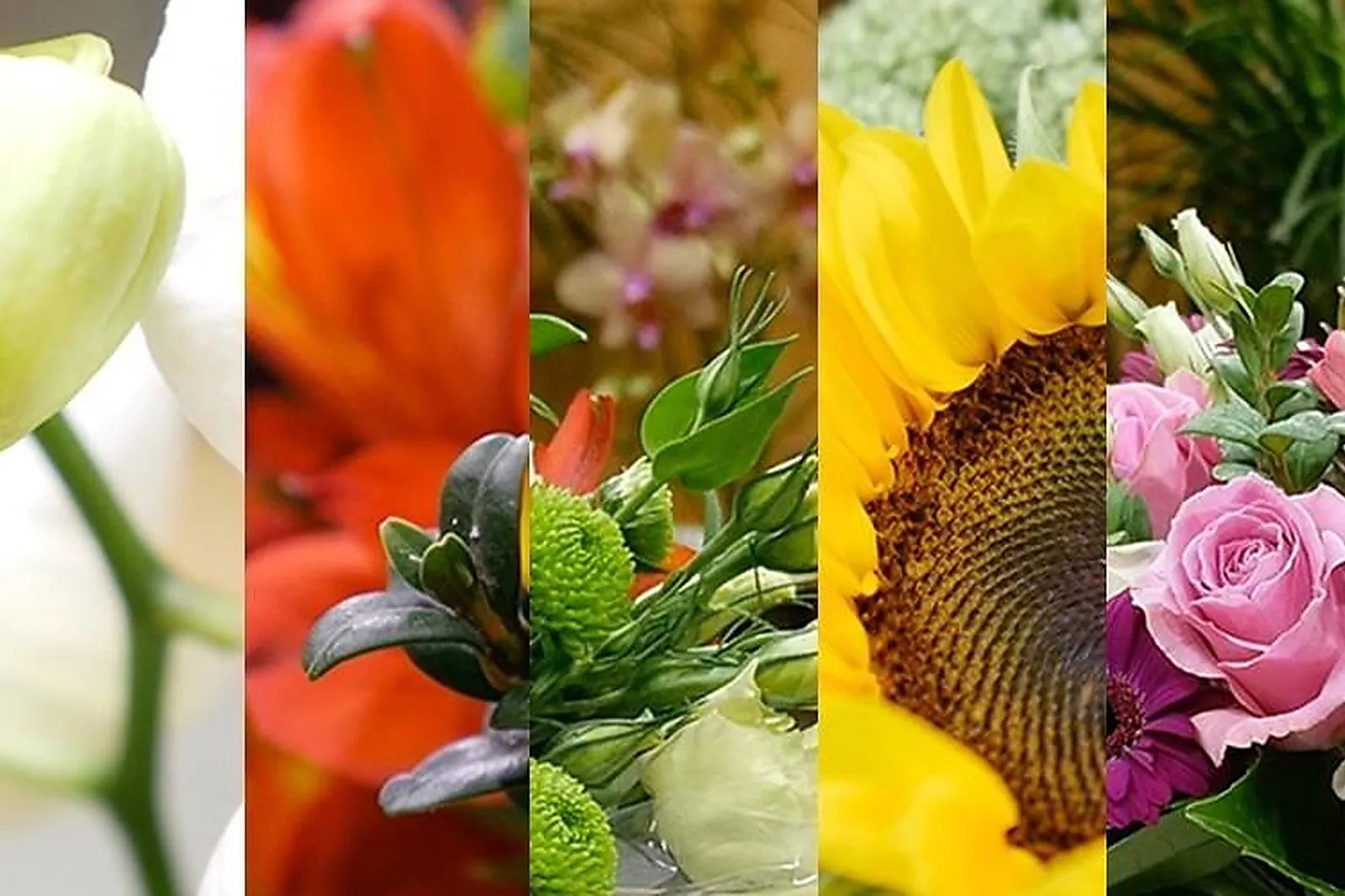 Prestataire Technique Audiovisuel, BEC ET FILS